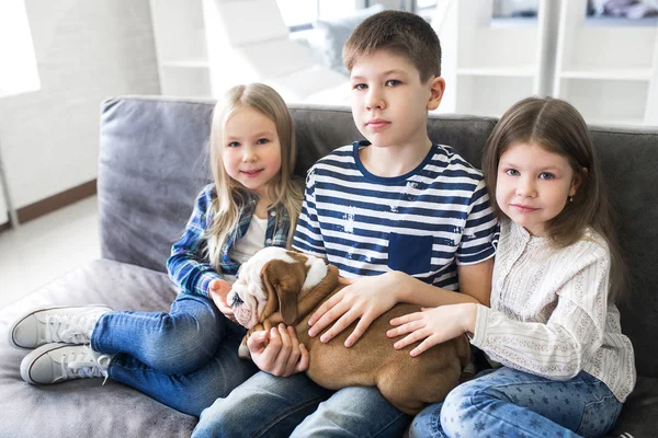 Brother and sister playing on the couch with the puppies English bulldog