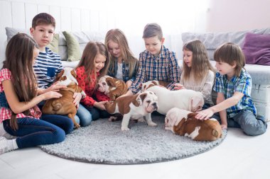 Bir grup çocuk odasında bulldog yavruları ile oynarken
