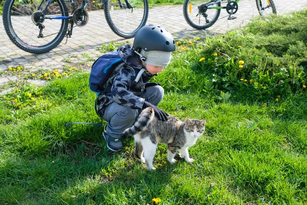 Crianças pequenas felizes com gatos pequenos brincando ao ar livre — Fotografia de Stock