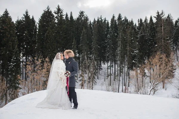 Giovani sposi che camminano in una foresta invernale sulla neve . — Foto Stock