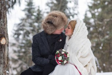 Gelin ve damat köpek kış manzara arka plan üzerinde oturan, şık güzel genç Çift