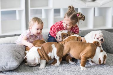 halı üzerinde oturan ve kukla bulldog ile oynayan sevimli kız