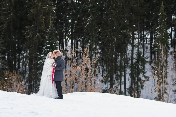 Молодая пара молодоженов, гуляющих в зимнем лесу по снегу . — стоковое фото