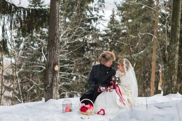 Élégant beau jeune couple marié et marié, chien assis sur le fond d'un paysage hivernal — Photo