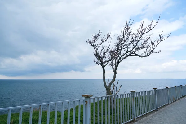 Bench on the sea front promenade — Stok Foto