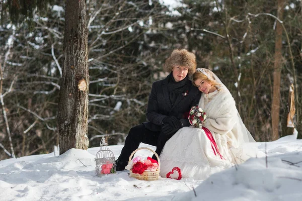 Élégant beau jeune couple marié et marié, chien assis sur le fond d'un paysage hivernal — Photo