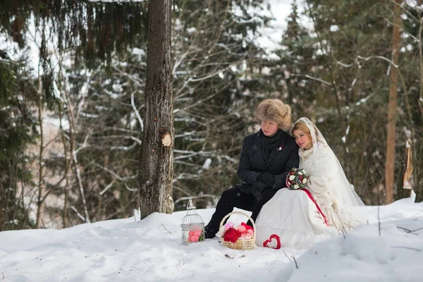 Stylish beautiful young couple bride and groom, dog sitting on the background of a winter landscape — Stock Photo, Image