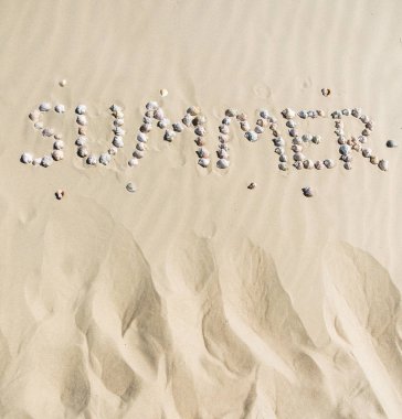 Kumdaki deniz kabukları. Yaz sahili geçmişi. Üst görünüm