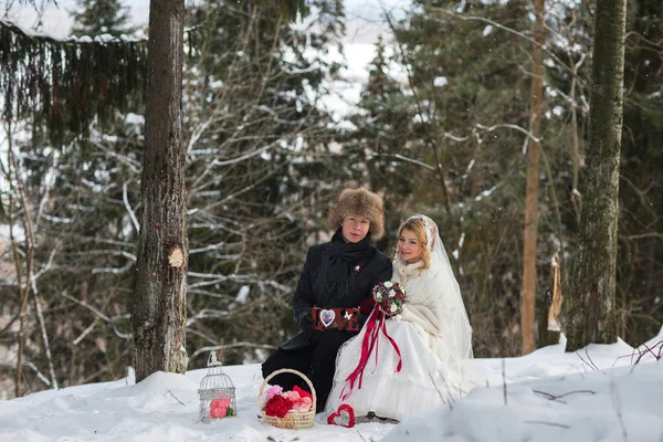 时尚美丽的年轻夫妇新娘和新郎，狗坐在冬季景观的背景 — 图库照片