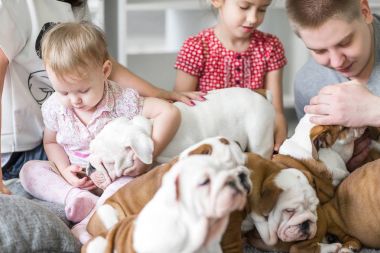 Dostluk ve köpek bağlılık adam kavramı