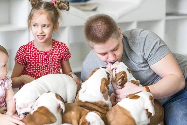 Caring dad with a daughter and a puppies English bulldog — Stock Photo, Image