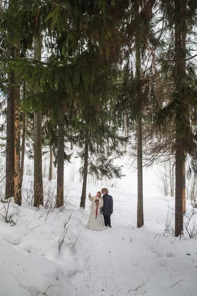 小两口新婚夫妇在冬季森林在雪中散步. — 图库照片