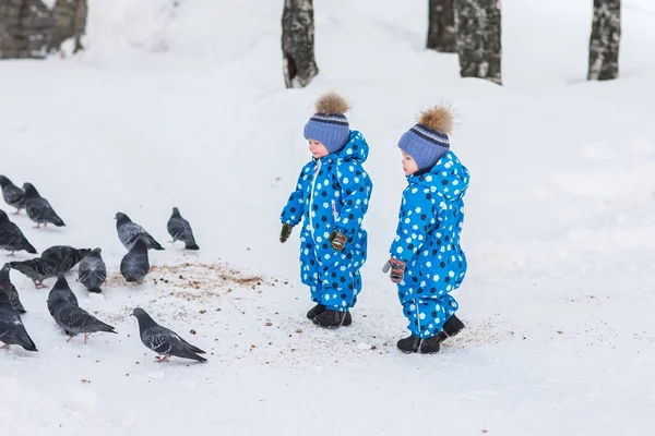 Niños gemelos caminando en el parque en el invierno y alimentar a las palomas migas de pan — Foto de Stock