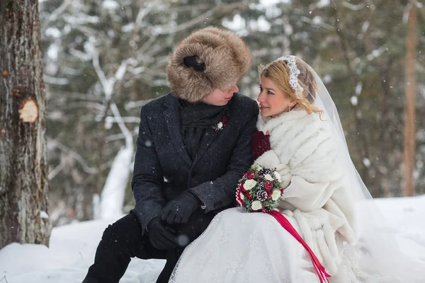 Stylish beautiful young couple bride and groom, dog sitting on the background of a winter landscape — Stock Photo, Image