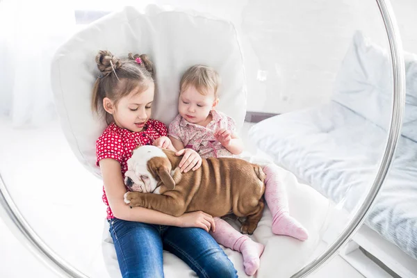 Zwei schöne Mädchen sitzen in einem Hängesessel mit einem Bulldoggen-Welpen — Stockfoto