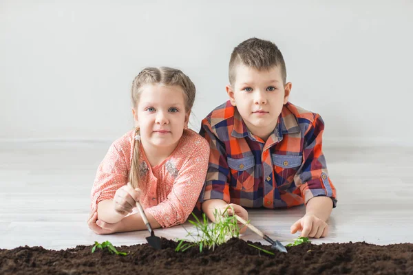 Children lie on the floor and look at the young plant symbol of Earth Day — Stock Photo, Image