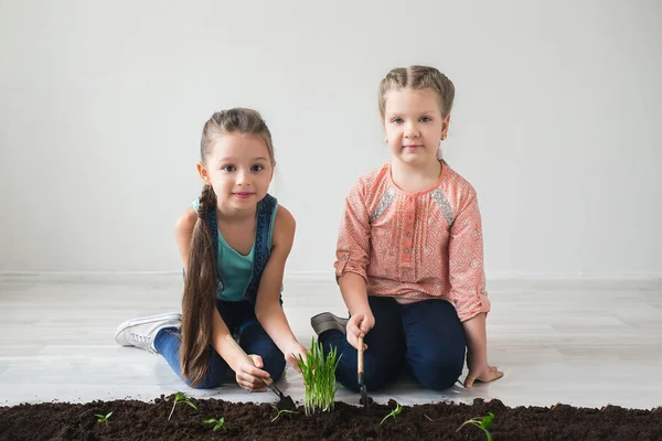 Hermanas crean un símbolo del Día de la Tierra en las plantas vivas en el suelo — Foto de Stock