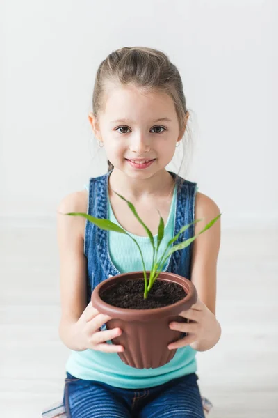 Saksılı bitki tutan şirin çocuk — Stok fotoğraf
