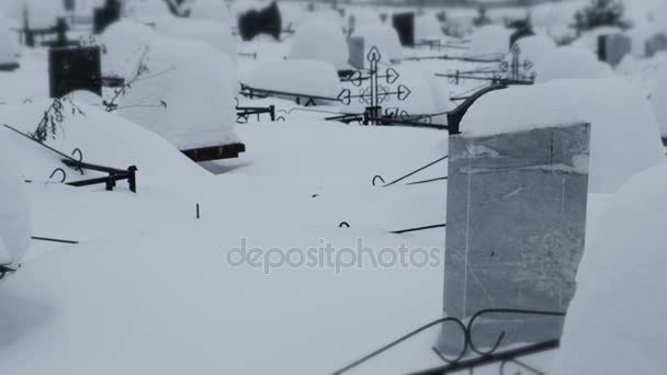 Snöstorm i en kyrkogård i vinter. — Stockvideo