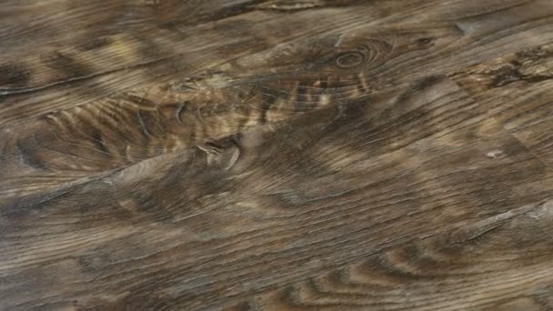 Laminate flooring in 4K resolution. Texture of the decorative floor panels — Stock Footage Laminate flooring in 4K resolution. Texture of the decorative floor panels Royalty Free Stock Video