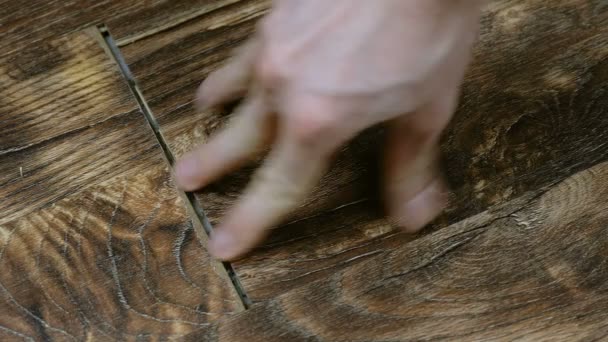 Male technician has identified a fault in floor of laminate. Repair floor in apartment. 4K — Stock Video