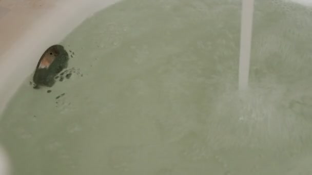 Silny strumień wody wlewa się do wanny. Z bliska. — Wideo stockowe
