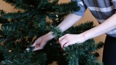 Kadın bir yapay Noel ağaç dalları ayırır. Noel'den sonra düzenli.