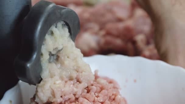 Close-up electric meat mincer making mince from pork meat and onion. — Stock Video