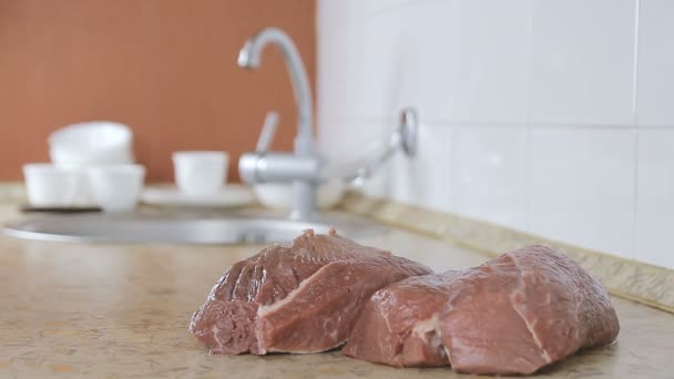 Ο άνθρωπος τσιμπήματα από ένα κομμάτι νωπό βόειο κρέας και αυτός chique του. Εσκιμώων τρώει νωπάήάβραστα βόειο κρέας. Τρελό,. — Αρχείο Βίντεο