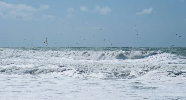 查看多雨风暴海景。海鸥在海浪上的海上捕鱼。扭转波. — 图库照片