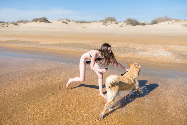 Mujer bruenette en bikini jugando con su perro cervatillo Labrador en la orilla del mar, toma la cámara — Foto de Stock