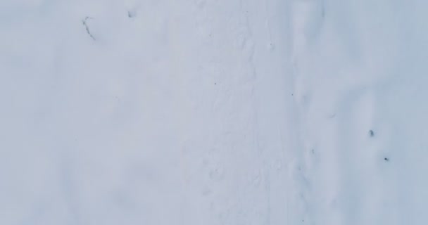 空中视频雪的路径在森林中的冬季傍晚, 俯视图. — 图库视频影像