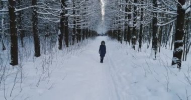 Hava video sıcak giysiler kış orman, üst veiw yürüyüş içinde kadın.