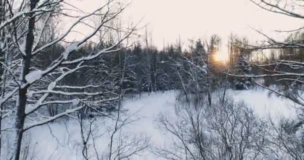 Video aereo vista laterale della foresta invernale con alberi nella neve e sole arancione. Macchina fotografica in movimento dal basso verso l'alto . — Video Stock