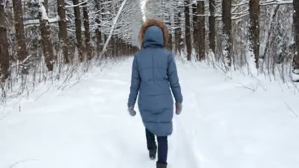 Spåra en kvinna i skogen vinter, skakar kameran hårt. Bakifrån. — Stockvideo