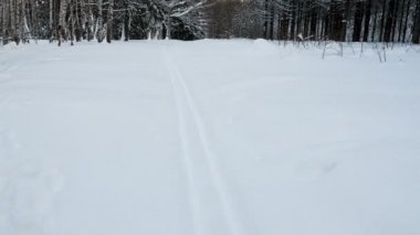 Kayak parça kış karla kaplı ormanda.