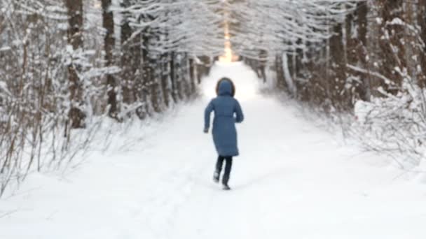 Mujer en una chaqueta azul con capucha corre a lo largo del camino en el parque a lo largo del callejón nevado en invierno . — Vídeos de Stock