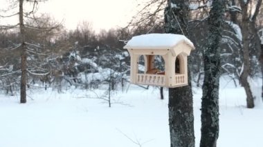 Forest Park ağaç oyma ahşap kuş Besleyici.