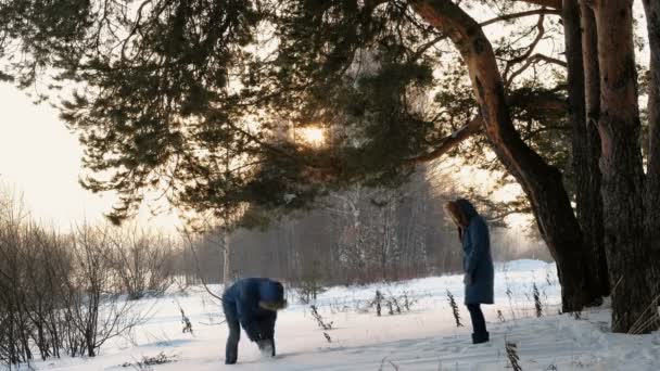 Hombre y mujer jugando bolas de nieve en el bosque de invierno. Puesta de sol en el bosque de invierno . — Vídeos de Stock
