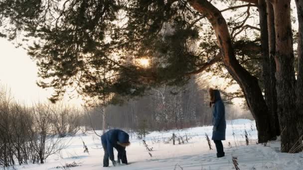 Homem e mulher jogando bolas de neve na floresta de inverno. Pôr do sol na floresta de inverno . — Vídeo de Stock