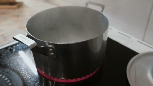 Primer plano de espaguetis de arroz caen en una olla de agua caliente en la estufa. Vista lateral . — Vídeo de stock