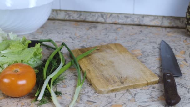Ножем, обробна дошка, тарілку та овочі: китайська капуста огірок помідор, кріп, зелений лук. — стокове відео