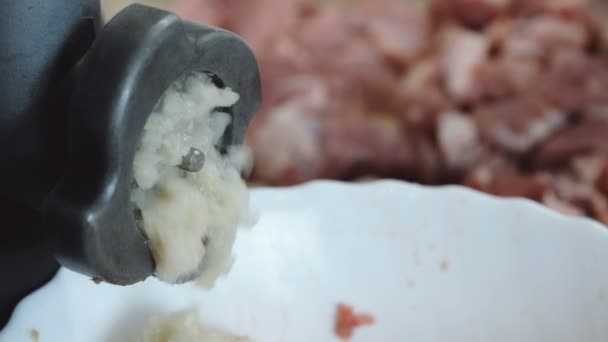 Close-up elektrische vlees vleesmolen maken gehakt van rundvlees en UI. — Stockvideo