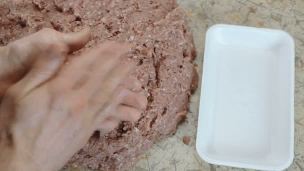 Close-up mans handen maken twee schnitzels en zet het in de container. — Stockvideo