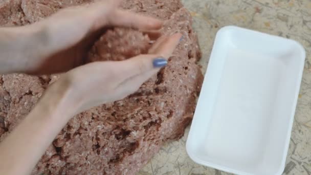 Close-up mãos de mulheres fazendo três costeletas de carne e colocá-lo em recipiente — Vídeo de Stock