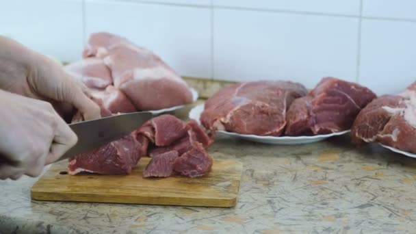 Close-up mulher mãos cortando um grande pedaço de carne em pequenos pedaços para churrasco . — Vídeo de Stock