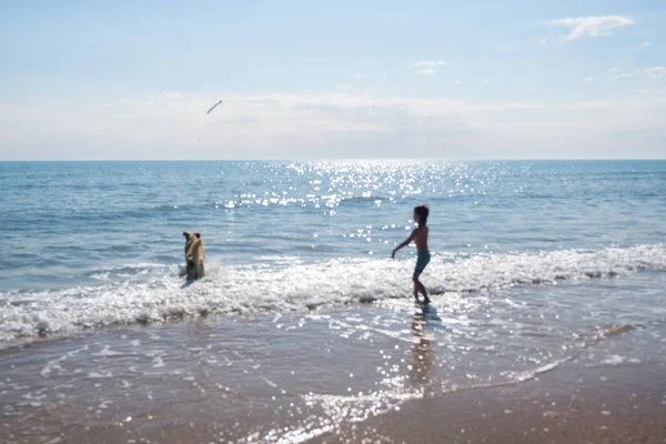 Rozmycie tła do poznania chłopca 6y w zielone szorty, grając z jego Jelonek pies Labrador na brzegu morza, rozmycie — Zdjęcie stockowe