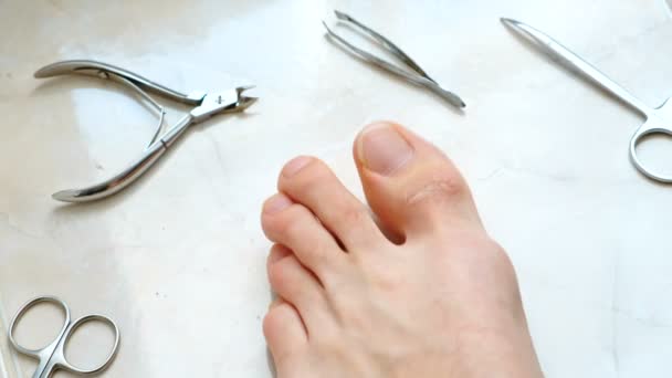 Uomo taglio unghie dei piedi con clipper. Unghie maschili tagliate a piedi. Primo piano piede e dita dei piedi. Vista dall'alto . — Video Stock