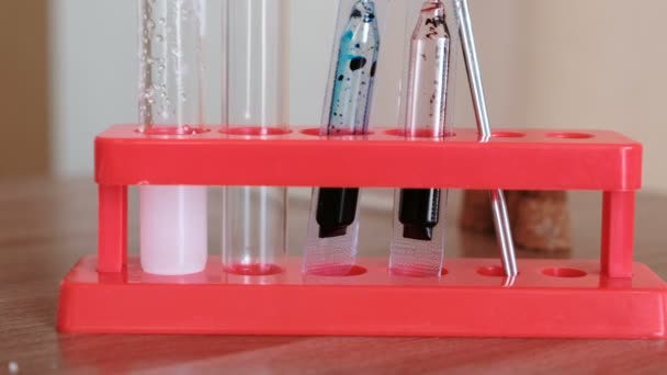 Experiments on chemistry at home.Test tubes with reagents on red stand. — Stock Video