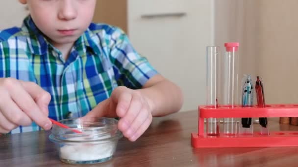 Experimente zur Chemie zu Hause. Junge führt chemische Reaktion im Reagenzglas durch. — Stockvideo